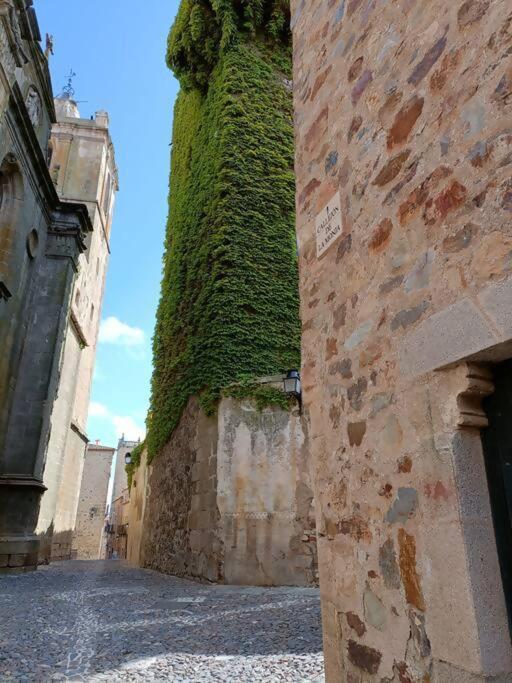 Casa Aguila Casco Antiguo Patio Privado Apartment Caceres Exterior photo